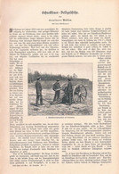 A102 1235 Militär Schnellfeuer Feldgeschütz Artikel / Bilder 1898 !! - Militär & Polizei