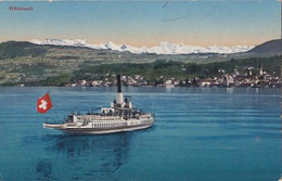 CPA WADENSWIL- VIEW FROM THE LAKE, SHIP, CENSORED WW1 - Wädenswil