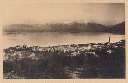 CPA WADENSWIL- TOWN PANORAMA, LAKE - Wädenswil