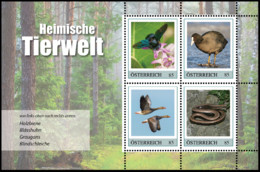 Autriche** - Abeille Charpentière, Foulque Macroule, Oie Cendrée, Ver Lent / Timmermansbij, Meerkoet, Grauwe Gans - Geese