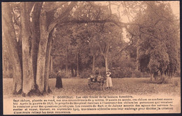 +++ CPA - GOSPINAL - Jalhay -  Les 7 Frères De La Maison Forestière - Arbre - Attelage Ane // - Jalhay