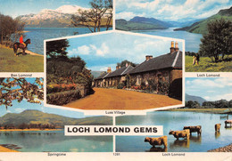 LOCH LOMOND GEMS - Stirlingshire