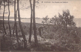 CPA - 17 - FOURAS - Les Sapins Au Cadoret - Légèrement Arrachée Sur Le Côté Gauche Voir Scan - Cie Alsacienne Des Arts P - Fouras-les-Bains