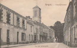 CHAMPTOCEAUX. - La Rue Principale - Champtoceaux