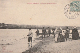 CHAMPTOCEAUX. - Pêche à L'Alose En Loire - Champtoceaux