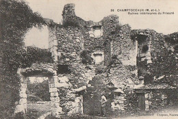 CHAMPTOCEAUX. - Ruines Intérieures Du Prieuré. Cliché Très RARE - Champtoceaux