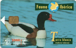 SCHEDA TELEFONICA - PHONE CARD - SPAGNA - FAUNA IBERICA - Other & Unclassified