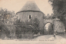 CHAMPTOCEAUX. - Entrée Du Parc Du Château - Champtoceaux