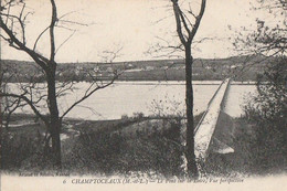 CHAMPTOCEAUX. - Le Pont Sur La Loire, Vue Perspective - Champtoceaux