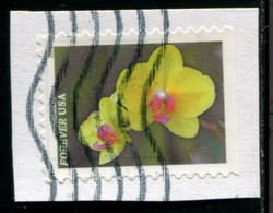 VEREINIGTE STAATEN ETATS UNIS USA 2021 GARDEN FLOWERS: YELLOW MOTH ORCHID F USED ON PAPER SC 5563 MI 5796 YT 5405 - Gebraucht