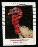 VEREINIGTE STAATEN ETATS UNIS USA 2021 HERITAGE BREEDS: NARRAGANSETT TURKEY F USED ON PAPER SC 5586 MI 5819 YT 5428 - Gebraucht