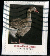 VEREINIGTE STAATEN ETATS UNIS USA 2021 HERITAGE BREEDS: COTTON PATCH GOOSE F USED ON PAPER SC 5588 MI 5821 YT 5430 - Used Stamps
