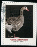 VEREINIGTE STAATEN ETATS UNIS USA 2021 HERITAGE BREEDS: COTTON PATCH GOOSE F USED ON PAPER SC 5588 MI 5821 YT 5430 - Used Stamps