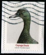 VEREINIGTE STAATEN ETATS UNIS USA 2021 HERITAGE BREEDS: CAYUGA DUCK F USED ON PAPER  SC 5591 MI 5824 YT 5433 - Used Stamps