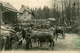 Vivonne * La Gare , Un Jour De Foire * Marché Aux Bestiaux * Ligne Chemin De Fer De La Vienne - Vivonne