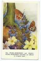 Butterflies Postcard Pearl Bordered Fritillary Truth In A Tale Series Posted 1954 - Papillons