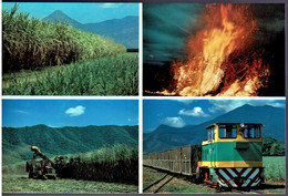 Field Of Cane, Harvesting, Cane Fire And Train, Australia  - Unused Prepaid Postcard - Altri & Non Classificati