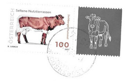 AUTRICHE LETTRE DE 2021 POUR LA FRANCE - UNE VACHE ET UNE VIGNETTE ( TIMBRE DE 2021 )  VOIR LES SCANNERS - Storia Postale