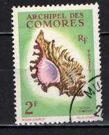 COMORES - 1962 - CONCHIGLIA - SHELL - USATO - Used Stamps