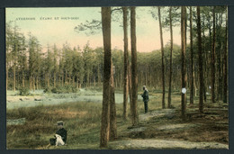 CPA - Carte Postale - Belgique - Averbode - Etang Et Sous Bois - 1909 (CP21085) - Scherpenheuvel-Zichem