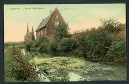 CPA - Carte Postale - Belgique - Averbode - L'Etang Extérieur - 1909 (CP21086) - Scherpenheuvel-Zichem