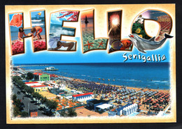 (RECTO / VERSO) SENIGALLIA - HELLO FROM ... - BEAU TIMBRE ET CACHET - CPM GF - Senigallia