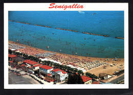 (RECTO / VERSO) SENIGALLIA - LA PLAGE - BEAU TIMBRE ET CACHET - CPM GF - Senigallia