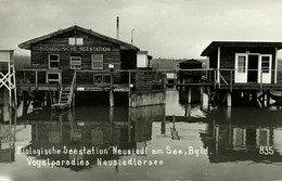 Austria, NEUSIEDL Am See, Bgld., Biologische Seestation Vogelparadies 1950s RPPC - Neusiedlerseeorte