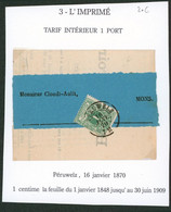 émission 1869 - N°26 Sur Bandelette Imprimé Obl Double Cercle Péruwelz > Mons / Tarif Intérieur. - 1869-1888 Lion Couché