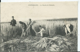 PONTARLIER - La Récolte De L'absinthe ( Carte Recollée) - Pontarlier