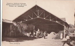 DOUE-la-FONTAINE. - Pépinières PINEAU-PARAGE. Remise Des Emballages - Doue La Fontaine