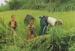 Following Mother To The Field Fruit Picking Workers Vietnam Postcard - Vietnam