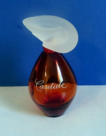 Flacon  "CANTATE " D'Yves ROCHER Eau De Toilette 100 Ml VIDE Pour Collection Ou Décoration - Bottles (empty)