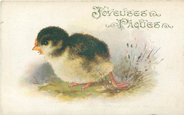 Serie Comique - Joyeuses Paques -  Poussin   N 2965 - Easter