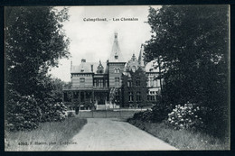 CPA - Carte Postale - Belgique - Calmpthout - Les Chenaies - 1909 (CP21113) - Kalmthout