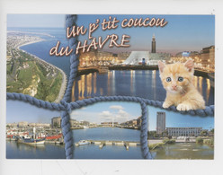 Le Havre : Un P'tit Coucou Du Havre (chaton Roux Chat) Multivues Cp Vierge N°40108 Le Goubey - Aérienne Nuit Port - Non Classificati