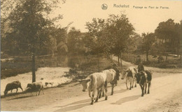 Rochefort; Paysage Au Pont De Pierres - Non Voyagé. (Thill - Bruxelles) - Rochefort
