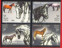 India 2009 Horses Breeds Of Horse Animals Fauna Stamps 4v Stamp SET MNH - Nuevos