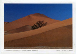 AK 072054 NAMIBIA - Im Namib Naukluft National Park - Namibië