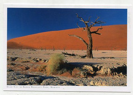 AK 072055 NAMIBIA - In Der Namibwüste - Namibië