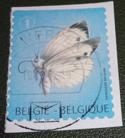 België - Michel - 4301  - 2012 - Gebruikt - Onafgeweekt - Used On Paper  -  Groot Koolwitje - Used Stamps