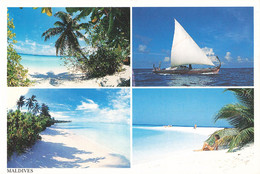 Maldives CPM Vues + Timbre Paire Attachée Timbres Oiseau Sterna Dougallii Sterne Cachet 1995 - Maldivas