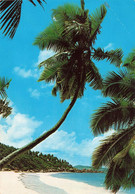 Seychelles Petite Anse La Digue CPM + Timbre Timbres - Seychelles