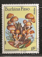 BURKINA FASO OBLITERE - Burkina Faso (1984-...)