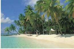 Les Maldives Maldive Islands Plage Beach CPM + Timbre Planche à Voile - Maldives