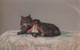 Babys Playmates Golly Toy Doll Tabby Cat Real Photo Old Postcard - Cats