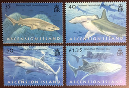 Ascension 2008 Sharks Fish MNH - Pesci