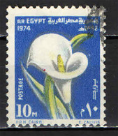 EGITTO - 1974 - ARUM - USATO - Usados