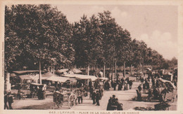 CPA (81) LAVAUR La Place De La Halle Jour De Marché Marchand Ambulant - Lavaur