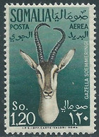 1960 SOMALIA AFIS POSTA AEREA ANIMALI 1,20 S MNH ** - RF27-2 - Somalia (AFIS)